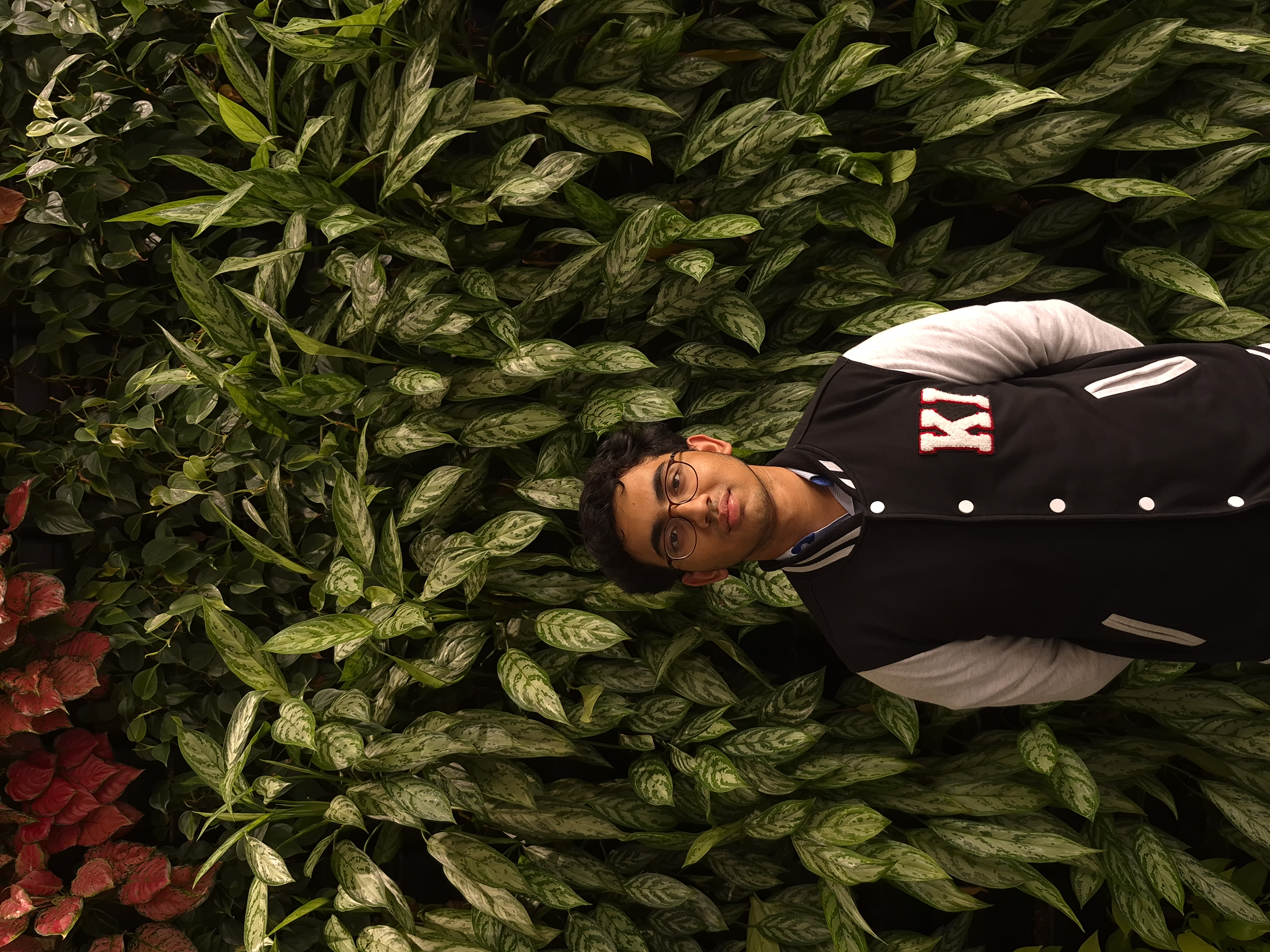 Portrait of Yellumahanthi Venkata Niteesh Kumar